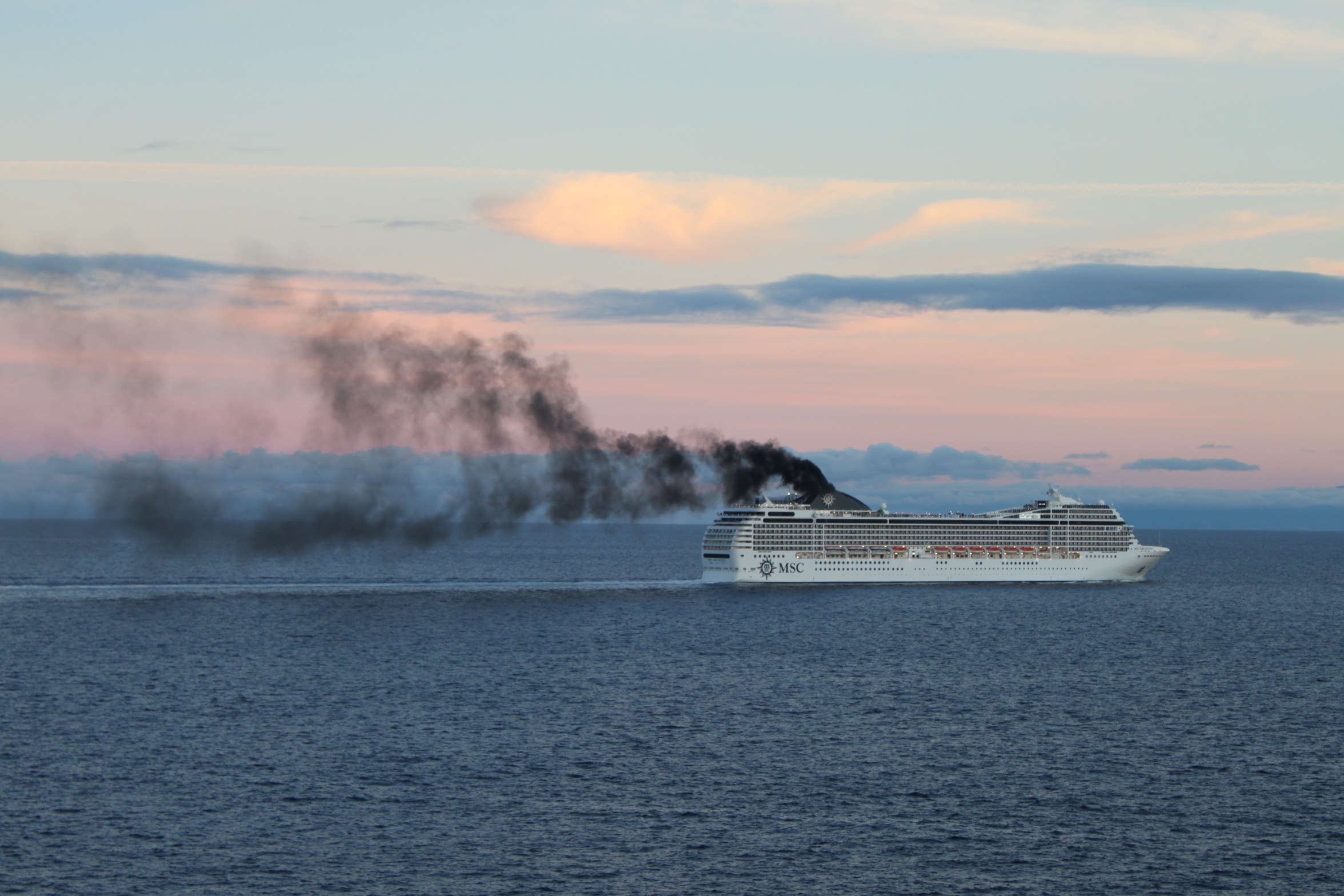Traumurlaub Kreuzfahrtschiff? Naturschützer und führende Lungenärzte warnen vor hoher Abgasbelastung an Deck