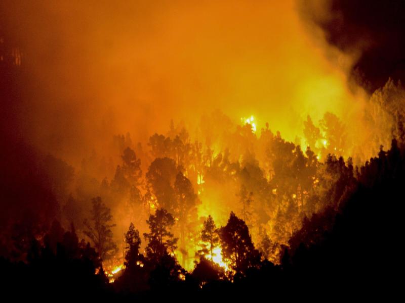 Spanien: „Aussteiger“ entfacht auf Kanareninsel mit Klopapier verheerenden Waldbrand – zu dreieinhalb Jahren Haft verurteilt