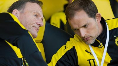 Trainer-Scouting beim BVB? Gerüchte über Interesse an Favre