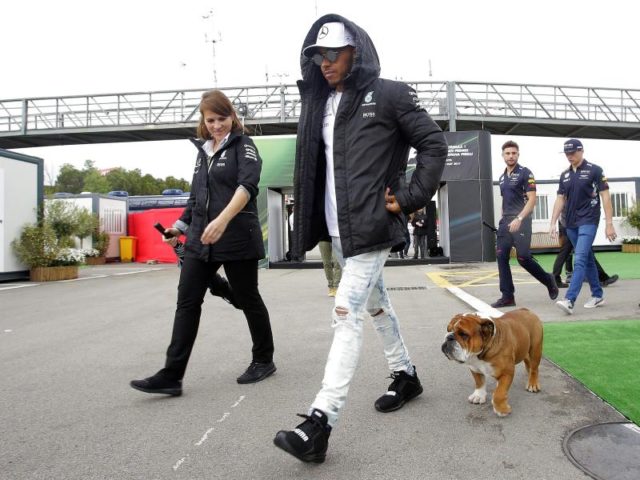 Lewis Hamilton bringt seinen Hund Roscoe mit zur Formel-1-Medienrunde am Circuit de Catalunya in Barcelona. Foto: Manu Fernandez/dpa