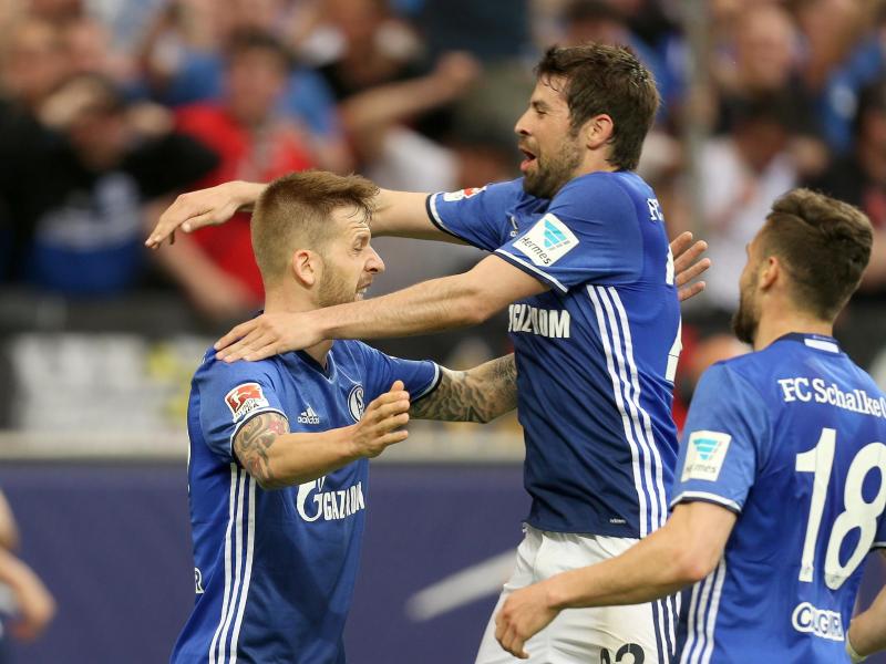 HSV verharrt auf Relegationsplatz: 1:1 auf Schalke