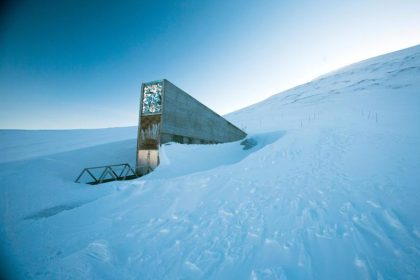 In eisgekühltem Lager auf Spitzbergen über eine Million Pflanzensamen gebunkert