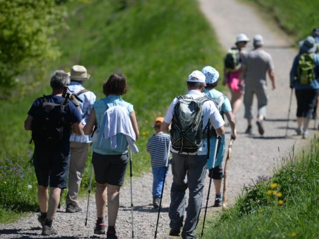 Noch nicht zu heiß: Eine Gruppe französischer Touristen wandert auf dem Schauinsland bei Hofsgrund. Foto: Patrick Seeger/dpa
