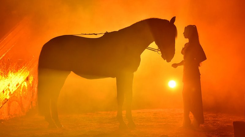 Zirkus-Chefin Sembach-Krone gestorben – 50 Jahre mit Pferden