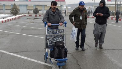 Grüne: Keine afghanischen Flüchtlinge in andere EU-Staaten überstellen – sie könnten abgeschoben werden