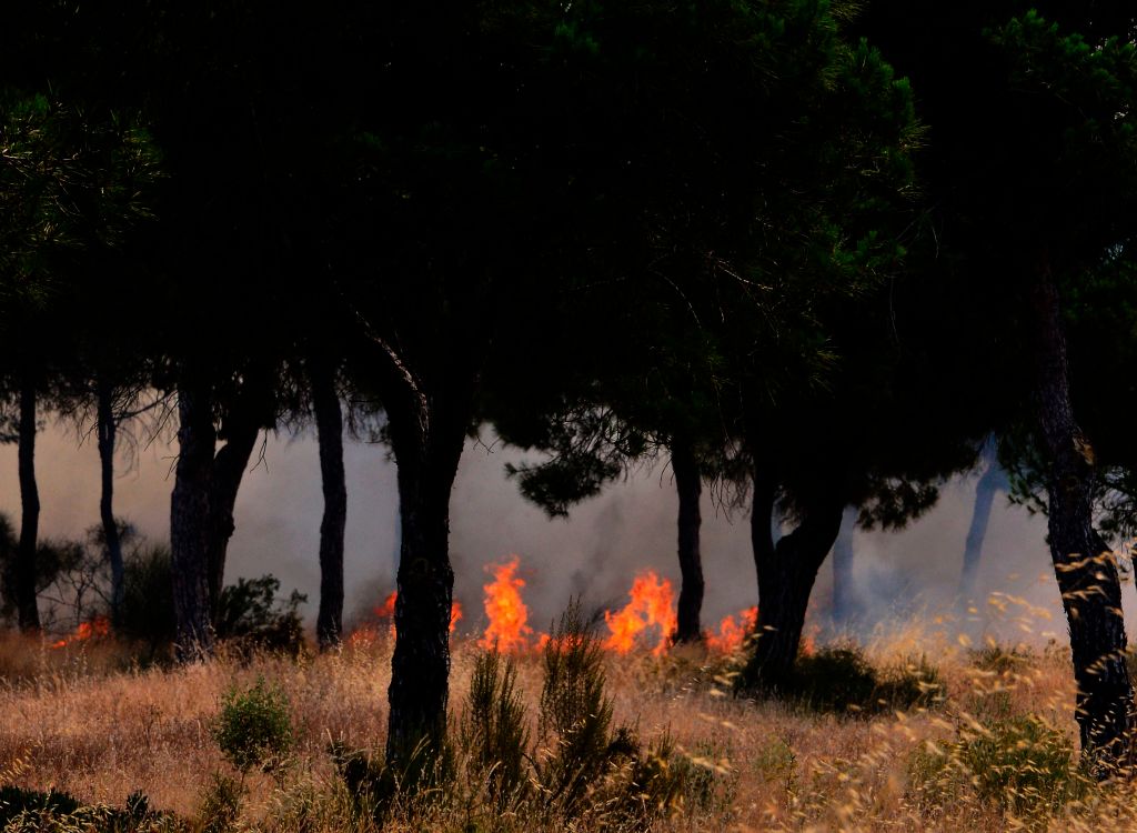Nationalpark Doñana in Spanien von Waldbrand bedroht – 1.500 Menschen in Sicherheit gebracht