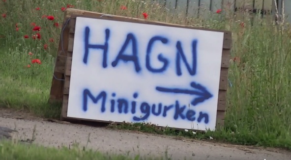 Gurken-Skandal: Alle Minigurken aus Segnitz weg! – Solidarität mit Gärtner enorm (+VIDEO)