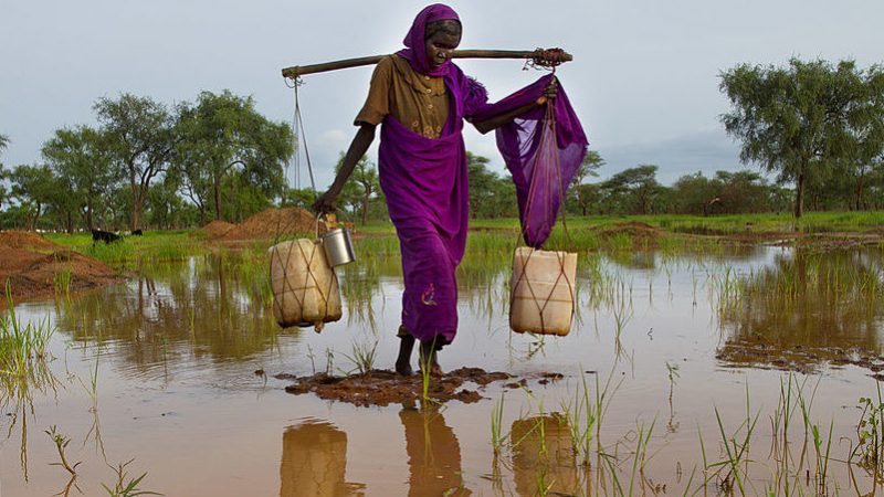 „Brot für die Welt“ kritisiert Afrika-Programm: Keine Umweltstandards und Menschenrechte bestimmt