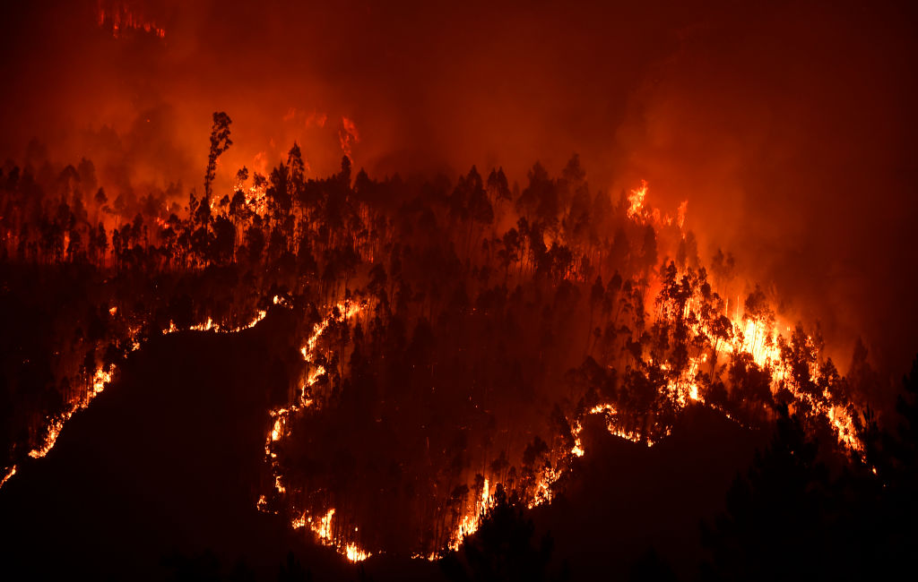 62 Tote: Portugal trauert um die Opfer der verheerenden Waldbrände