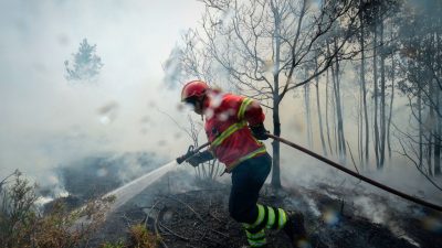 Portugals Waldbrand unter Kontrolle – Feuer kam „ungewöhnlich und erschreckend plötzlich“