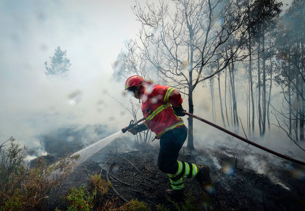 Portugals Waldbrand unter Kontrolle – Feuer kam „ungewöhnlich und erschreckend plötzlich“