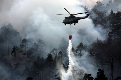 Schon über 100 Waldbrände in Brandenburg – 1/3 von Brandstiftern verursacht