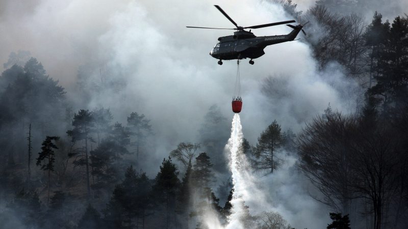 Schon über 100 Waldbrände in Brandenburg – 1/3 von Brandstiftern verursacht