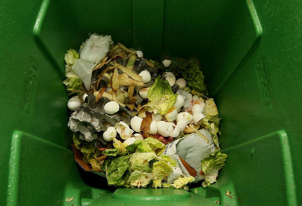 Essbares im Abfalleimer: Junge Leute verschwenden besonders viele Lebensmittel