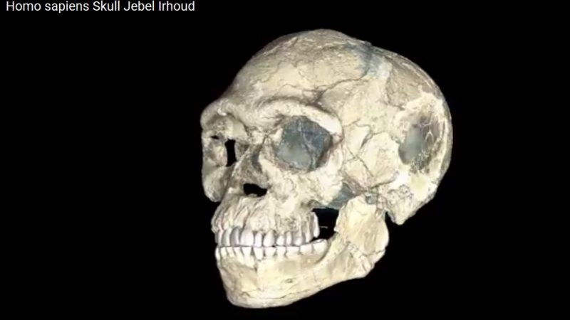 300.000 Jahre: Der heutige Mensch ist wesentlich älter als angenommen