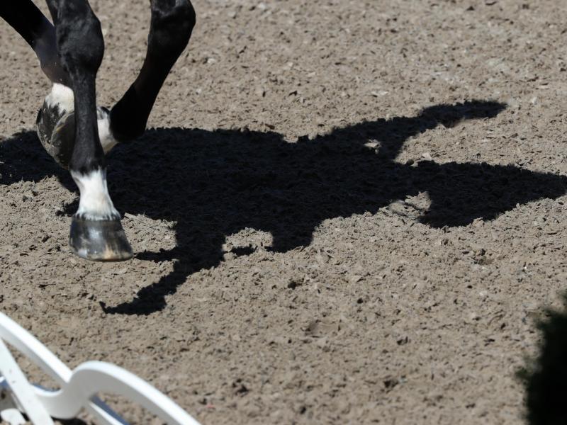 Siebenjährige Reiterin bei Siegerehrung von Pferd abgeworfen und getötet
