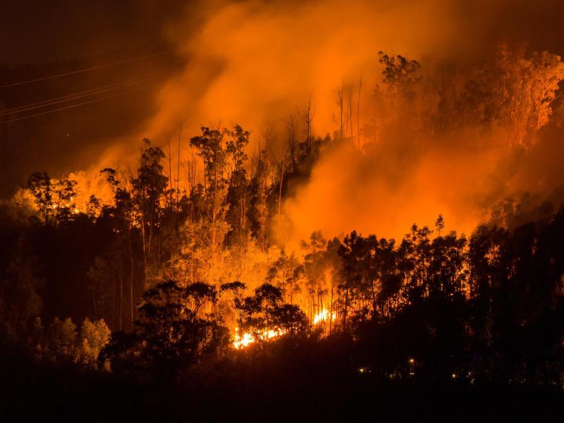 Waldbrände zerstören mehr als tausend Hektar im Südosten Spaniens, in Portugal und Frankreich