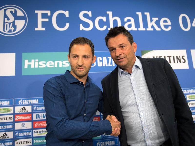 Neuer Schalke-Trainer verspricht: «Keine One-man-Show»
