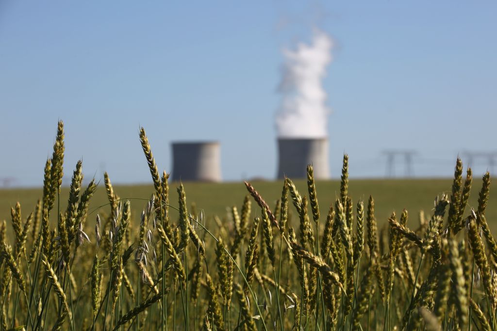 Frankreichs Umweltminister stellt Abschaltung von Atomreaktoren in Aussicht: „Vielleicht bis zu 17 Reaktoren“
