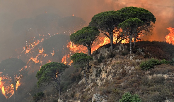 Wald- und Buschbrände: In Italiens Urlaubsregionen rückt die Feuerwehr aus