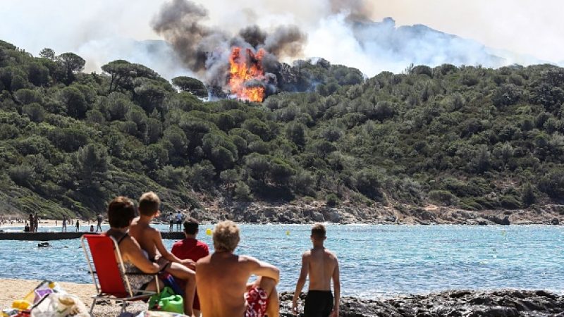 Fast 4.000 Hektar Wald durch Brände in Südfrankreich zerstört
