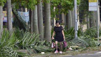 Mehr als hundert Verletzte bei starken Taifunen in Taiwan – 12.000 Menschen evakuiert