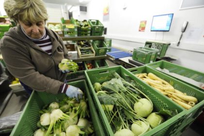 Öko-Produkte sollen verstärkt im eigenen Land produziert werden – Beratung über neue Regelungen bei der EU