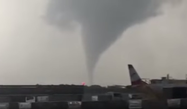 VIDEO: Tornado nahe Wiener Flughafen: Bäume entwurzelt – 15 Mio. Euro Schaden