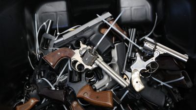 Zoll findet 13 Schusswaffen bei Kunden von Internetseite Migrantenschreck.ru
