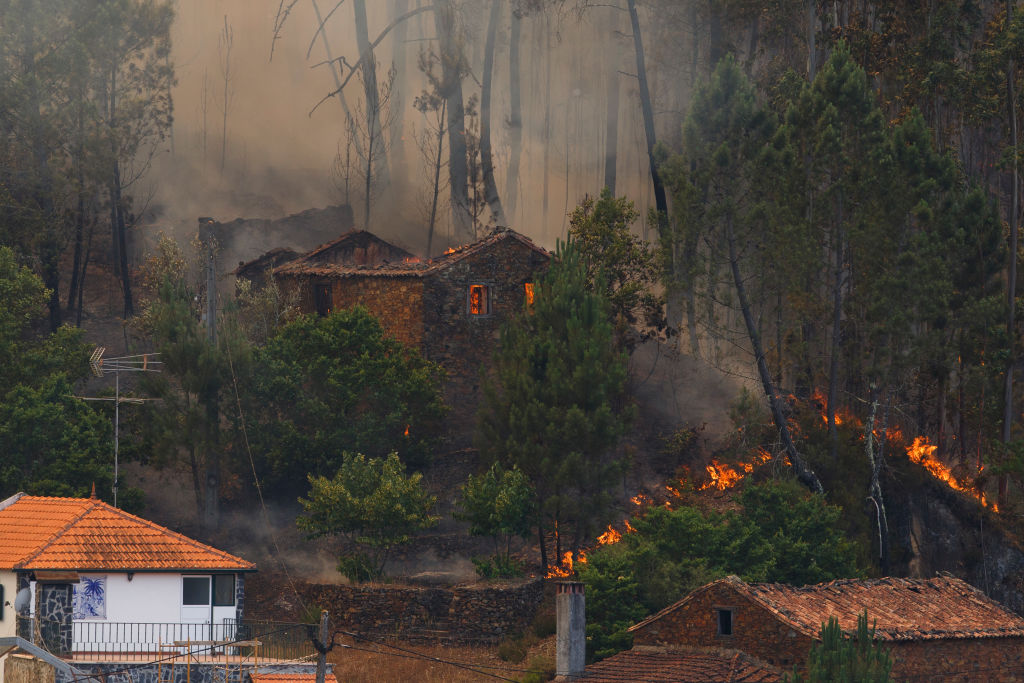 Waldbrände in Portugal breiten sich bedrohlich aus