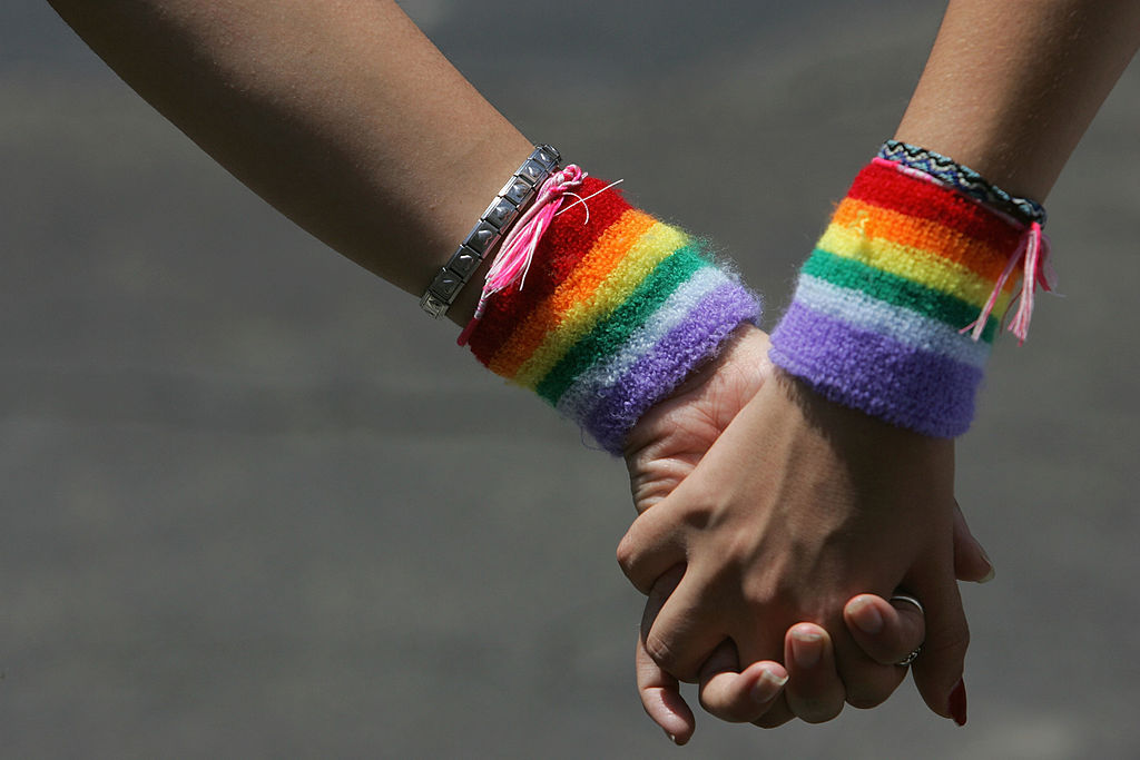 Kauder: Gesetzesentwurf zur „Ehe für alle“ ist „unausgegoren“ – landet vor Verfassungsgericht