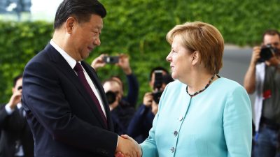 Merkel trifft Chinas Staatschef in Berlin – Tierschützer kritisieren Millionenausgaben für Pandas