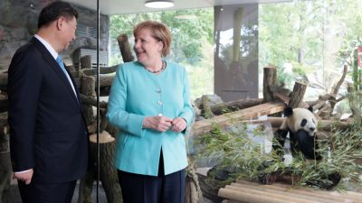 Panda-Übergabe in Berlin: Merkel und Xi auf Kuschelkurs vor G20