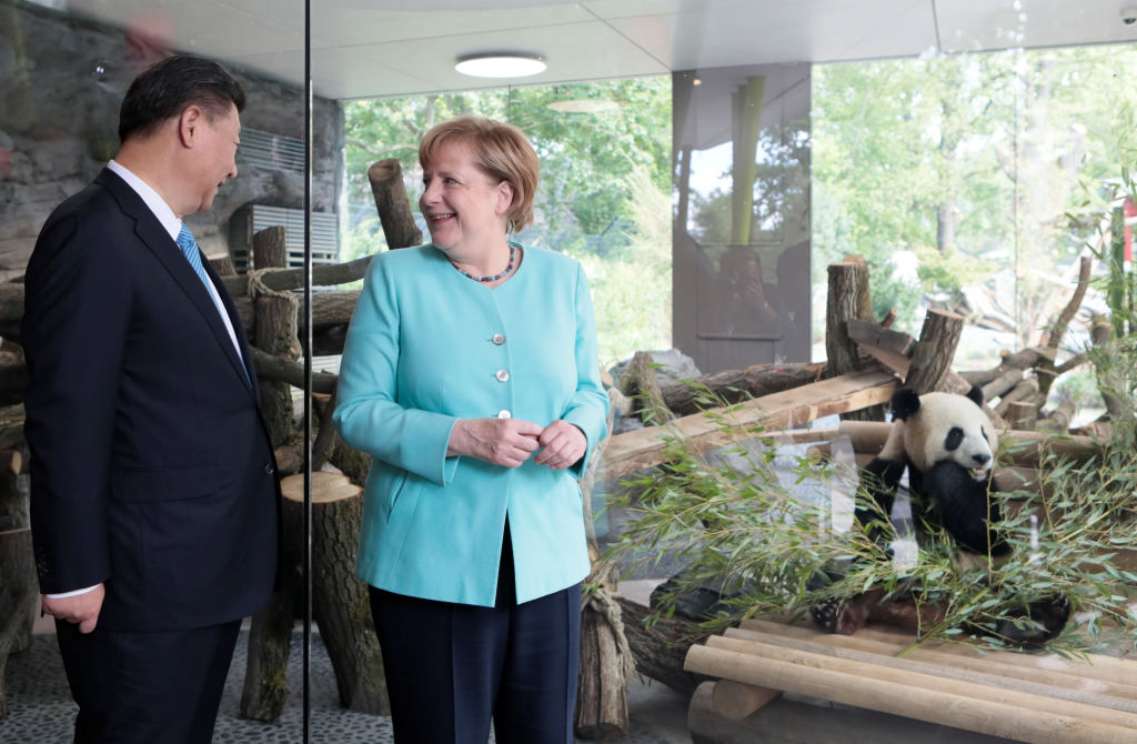 Panda-Übergabe in Berlin: Merkel und Xi auf Kuschelkurs vor G20
