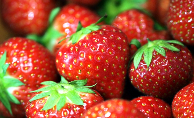 Weniger Erdbeeren – aber mehr Spargel im Jahr 2017