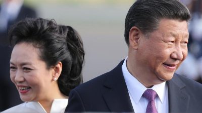 Pandas und Präsident: Chinesischer Staatschef Xi besucht Berlin