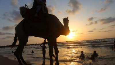 Menschen in Gaza strömen nach 30 Jahren Kino-Pause vor die Leinwand