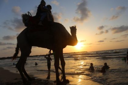 Menschen in Gaza strömen nach 30 Jahren Kino-Pause vor die Leinwand