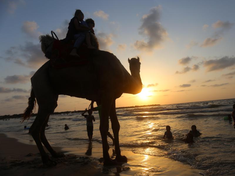 Menschen in Gaza strömen nach 30 Jahren Kino-Pause vor die Leinwand