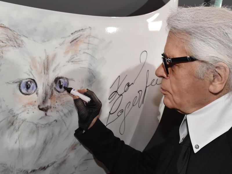Karl Lagerfeld reist immer mit Katze Choupette