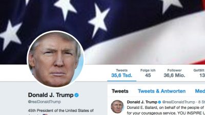 Ex-Agentin will Twitter kaufen, um Trump zu verbannen – 1 Mrd. Dollar nötig
