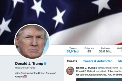 Ex-Agentin will Twitter kaufen, um Trump zu verbannen – 1 Mrd. Dollar nötig