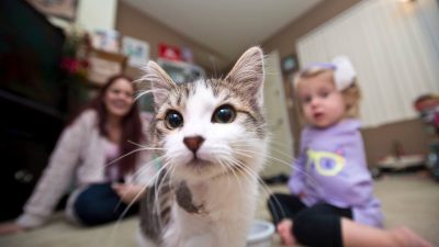 Freunde mit dem gleichen Schicksal: Arm-amputierte Tochter findet ein ganz besonderes Kätzchen