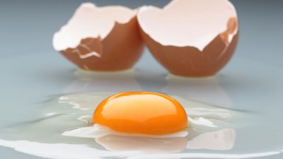 Foodwatch fordert nach Eierskandal schärfere Gesetze für Firmen