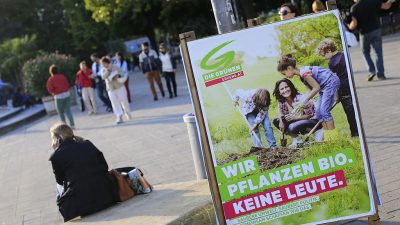 4 Prozent der Stimmen: Droht den Grünen in Österreich eine Wahlschlappe?