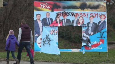 Berlin: Frauen-Trio beschmieren AfD-Wahlplakat – Zeuge alarmiert Polizei