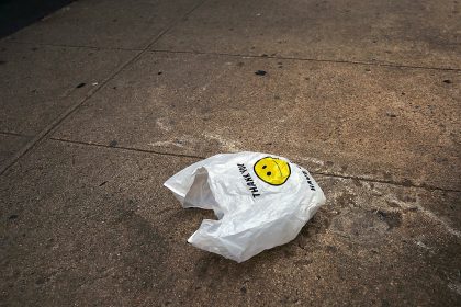 Große Mehrheit junger Deutscher ist umweltbewusst – viele handeln aber nicht danach