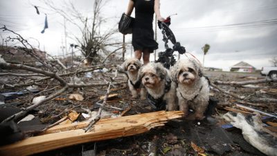 Trump ruft wegen „Harvey“ Katastrophenfall für Louisiana aus