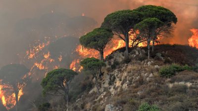 Todesopfer durch extreme Hitzewelle und Waldbrände in Italien