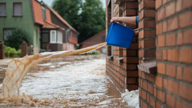 Überschwemmung: Kommunen haften nicht automatisch wegen Baumwurzeln im Abwasserkanal